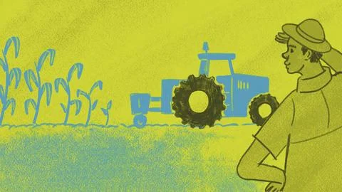 Farmer watching tractor in corn field Stock Illustration