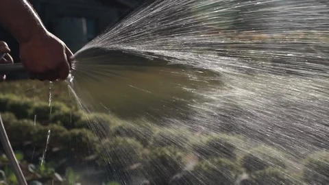 Farmer watering crops. Stock-Footage 89525649