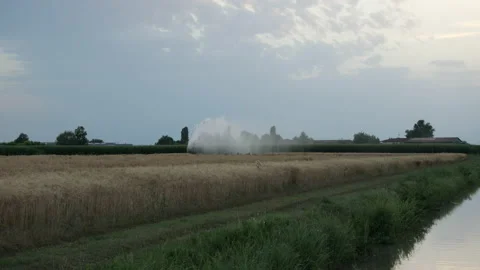 Farmer waters the wheat fields Stock Footage 199932944