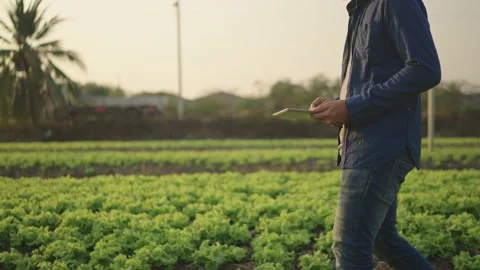 A farmer wearing boots is walking inside the farm. Stock Footage 148610347