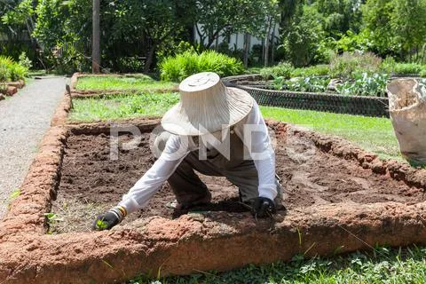 Farmer wearing hat and white shirt is preparing soil for agriculture or farml Stock Photos