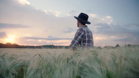 Farmer on the wheat fields Stock Footage 109049920