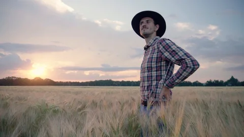 Farmer on the wheat fields Stock Footage 109049985