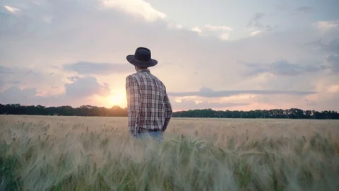 Farmer on the wheat fields Stock Footage 109050092
