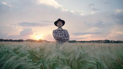 Farmer on the wheat fields Stock Footage 109050219