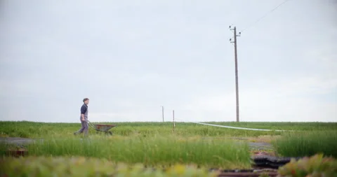 Farmer With Wheelbarrow Walking In Field. Video stock 246830365