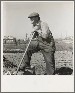Farmer who has small plot in rapidly growing settlement of lettuce workers... Fotos de archivo