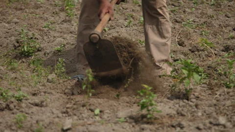 Farmer who plows Video stock 273107595