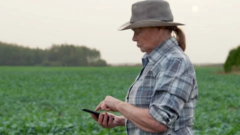 Farmer woman using smartphone technology in agricultural field Stock Footage 287946314