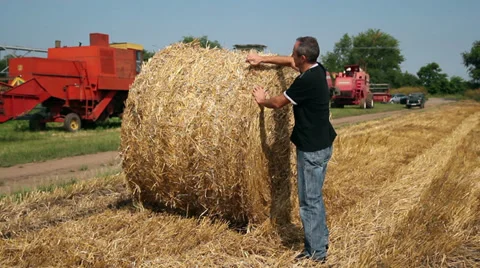 Farmer at Work Stock Footage 27501500