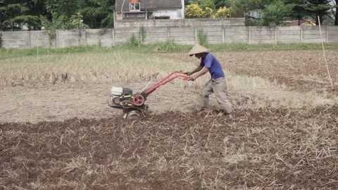 A farmer at work Stock-Footage 254070567