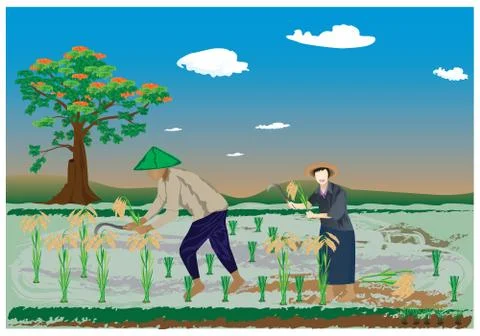 Farmer work in paddy field vector design Stock Illustration