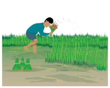Farmer work in paddy field vector design Stock Illustration