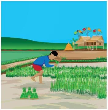 Farmer work in paddy field vector design Stock Illustration