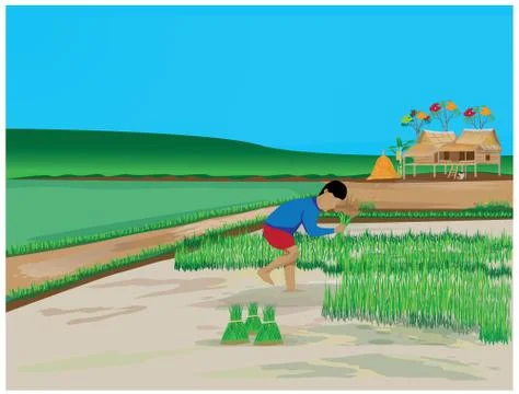 Farmer work in paddy field vector design Stock Illustration