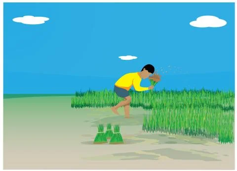 Farmer work in paddy field vector design Stock Illustration