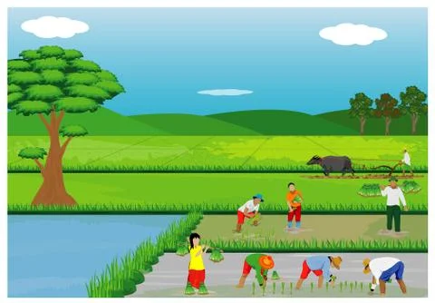 Farmer work in paddy field vector design Stock Illustration