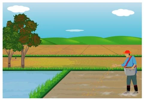 Farmer work in paddy field vector design Stock Illustration