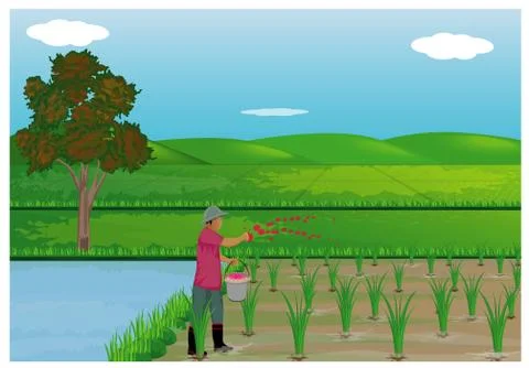 Farmer work in paddy field vector design Stock Illustration