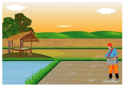 Farmer work in paddy field vector design Stock Illustration