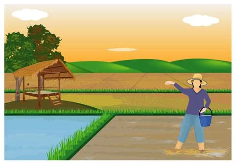 Farmer work in paddy field vector design Stock Illustration