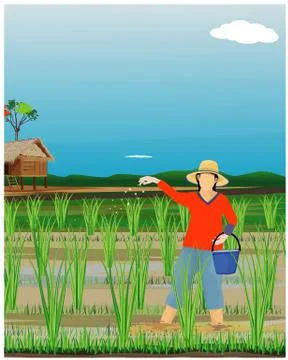 Farmer work in paddy field vector design Stock Illustration