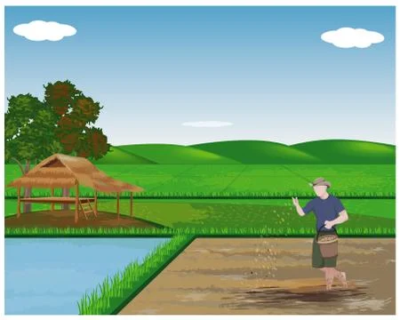 Farmer work in paddy field vector design Stock Illustration