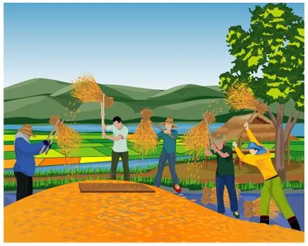 Farmer work in paddy field vector design Stock Illustration