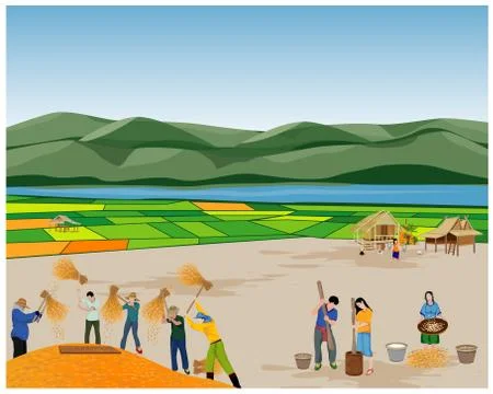 Farmer work in paddy field vector design Stock Illustration