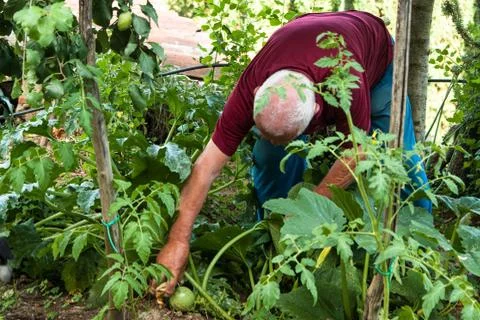 Farmer at work Stock Photos