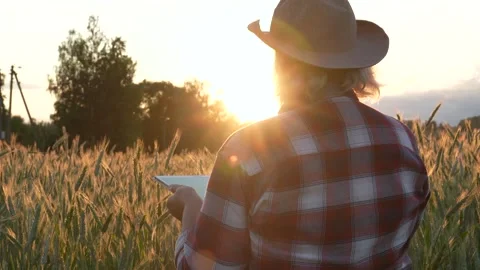 Farmer Worker With Digital Tablet In Wheatfield At Sunset Shines Stock Footage 282969077