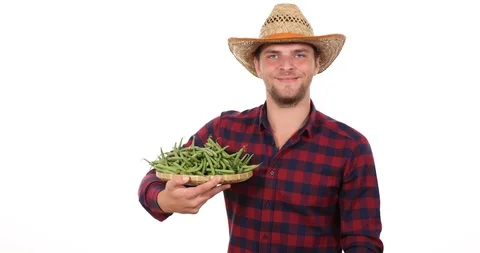 Farmer Worker Man Showing Ok Sign Holding Green Beans Organic Vegetables Product Stock Footage 88026525
