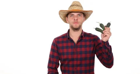 Farmer Worker Man Talking Camera About Organic Fresh Cucumbers Farming in Garden Stock Footage 88128024