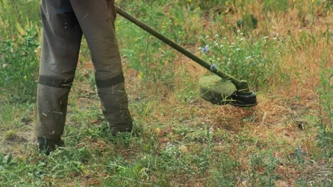 A farmer worker in a work uniform mows the grass with a gasoline trimmer on the Видео 266408229