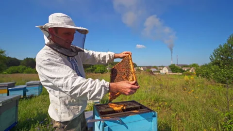 Farmer working on apiary. Beekeeper looking after bees on village background. Stock Footage 134790460