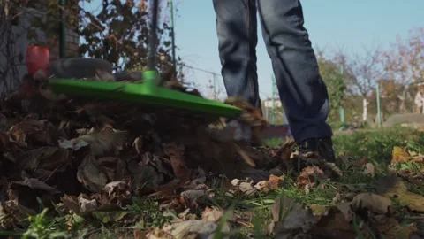 Farmer working on backyard sweeping dry fallen foliage Stock Footage 170946080