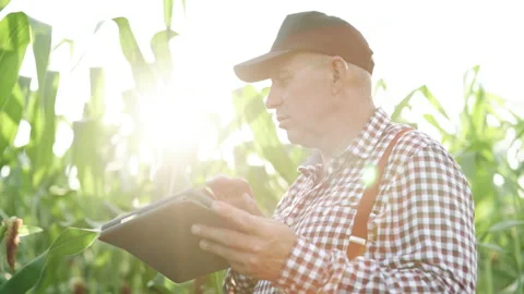 Farmer working in a cornfield, inspecting and tuning irrigation center pivot Stock Footage 194582088