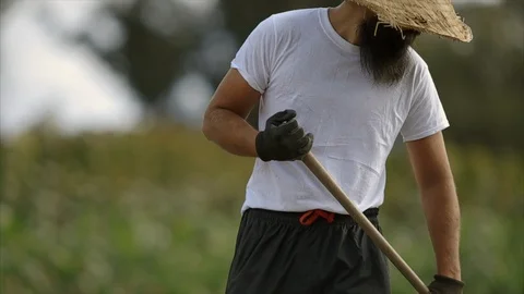 Farmer working in a crop field. Stock-Footage 88370461