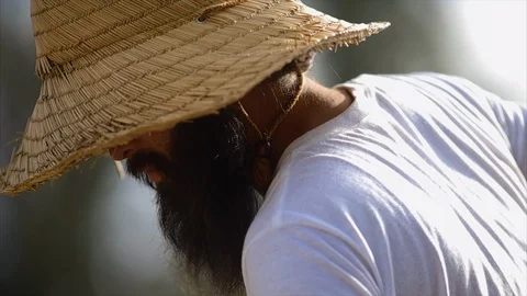 Farmer working in a crop field. Stock-Footage 88370532