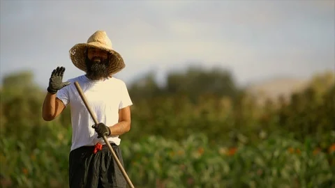 Farmer working in a crop field. 스톡 동영상 88370614