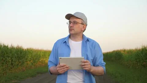 Farmer working digital tablet, corn field, modern agro farm, businessman engaged Stock Photos