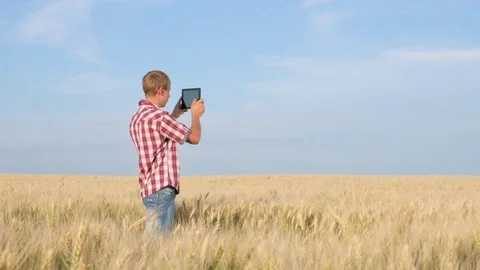Farmer Working With Digital Tablet On the Field Stock Footage 77201197