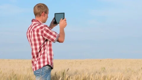 Farmer Working With Digital Tablet On the Field Stock Footage 77201246