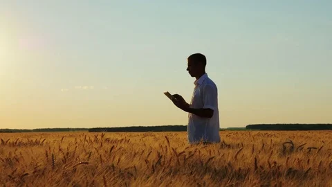 Farmer Working With Digital Tablet Stock Footage 77713935
