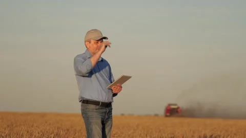 Farmer working digital tablet wheat field, agriculture, industrial eco, combine Stock Footage 306165039