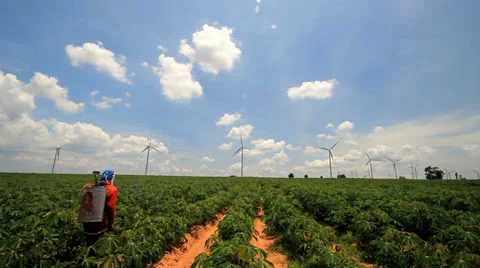 Farmer working in field Stock Footage 23904118