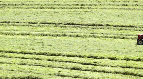 Farmer working in the field Stock Footage 24709532