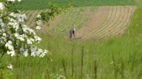 Farmer working in the field Stock Footage 51348126