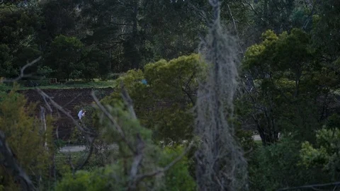 Farmer working in the field Vidéo 94880120