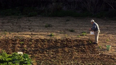 Farmer working on a field Stock Footage 108634863